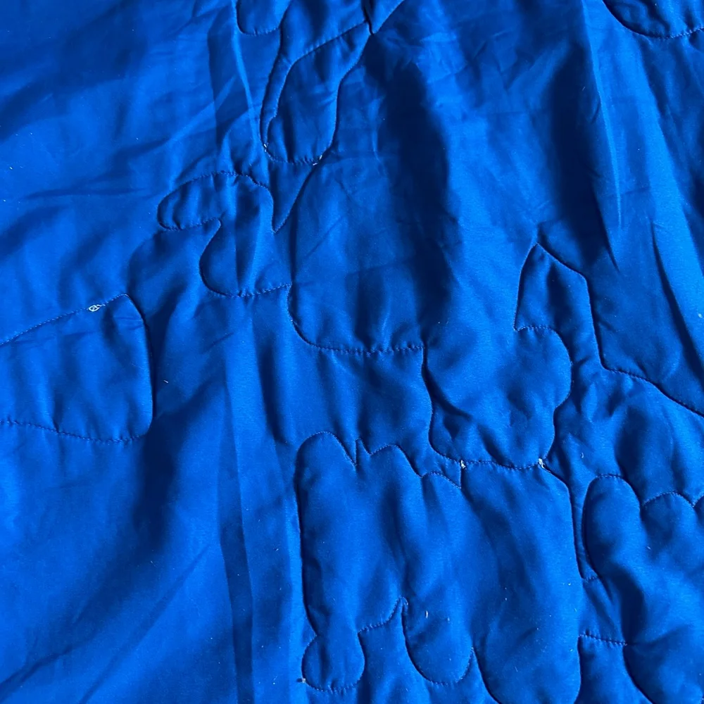 Scooby-Doo! Twin Quilt in Blue and Green